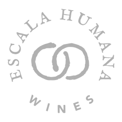 Escala Humana