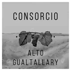 Alto Gualtallary
